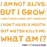 Riddle: I am not alive, but I grow; I don't have lungs, but I need air; I don't have a mouth, but water kills me. What am I?