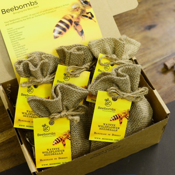 COMPETITION: WIN a box of 5 Native Wildflower Beebombs worth £29.99