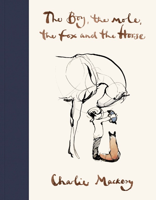 Competition the boy the mole book