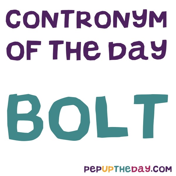 bolt