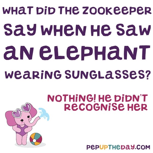 Joke What did the zookeeper say when he saw an elephant wearing