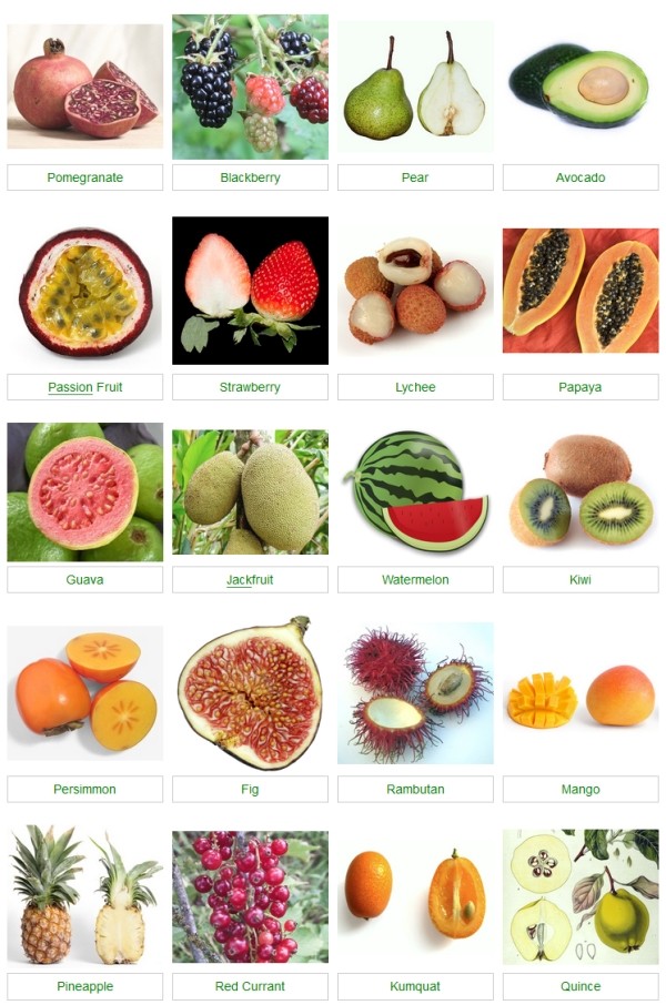 Name that fruit quiz. How many of the 20 can you name?