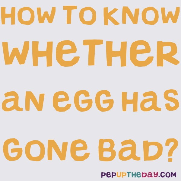 LIFE HACK How to know whether an egg has gone bad?