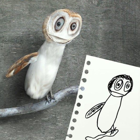 owl