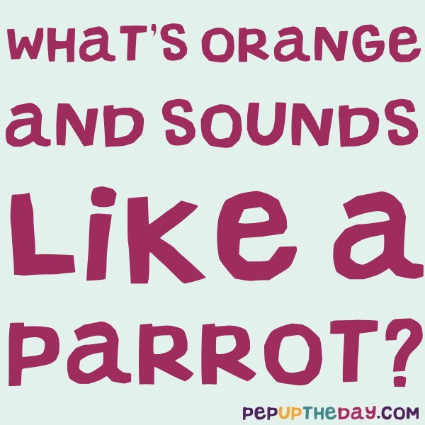 Joke What’s orange and sounds like a parrot?