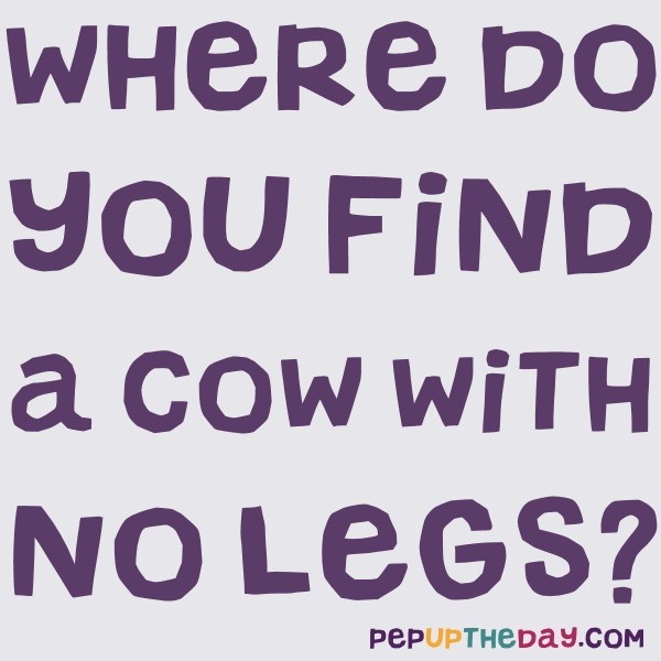 Joke: Where do you find a cow with no legs?