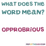 What does the word opprobrious mean?