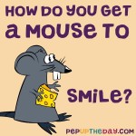 RIDDLE: How do you get a mouse to smile?