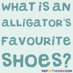 Riddle: What is the Alligator's favourite shoes?