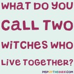 Riddle: What do you call two witches who live together?