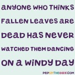 Quote of the Day - "Anyone who thinks fallen leaves are dead has never watched them dancing on a windy day." -Shira Tamir