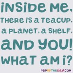 Riddle: Inside me, there is a teacup, a planet, a shelf, and you! What Am I?