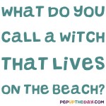 Riddle: What do you call a witch that lives on the beach?