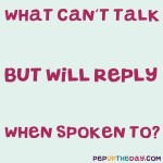 Riddle: What can’t talk but will reply when spoken to?