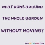 Riddle: What runs around the whole garden without moving?