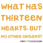 Riddle: What has 13 hearts, but no other organs?