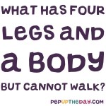 Riddle: What has four legs and a body but cannot walk?