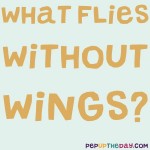 Riddle: What flies without wings?