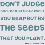 Quote of the Day - “Don’t judge each day by the harvest you reap but by the seeds that you plant.“ – Robert Louis Stevenson