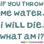 Riddle: If you throw me water, I will die. What am I?