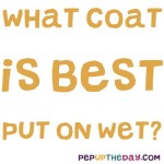 Riddle: What coat is best put on wet?
