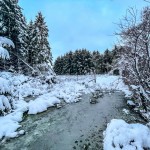 Photo of the Day - 12th December 2020 - It’s beginning to look a lot like Christmas