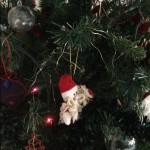 Photo of the Day - 13th December 2020 - Christmas Tree