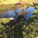 Photo of the Day - 19th December 2020 - Reflections at Overbury