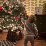 Photo of the Day - 25th December 2020 - Merry Christmas!