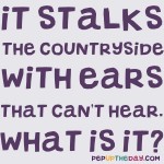 Riddle: It stalks the countryside with ears that can’t hear. What is it?
