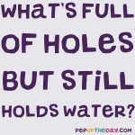 Riddle: What’s full of holes but still holds water?