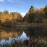 Photo of the Day - 31st December 2020 - Fish Pond and Banqueting House, Gibside, Gateshead