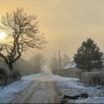 Photo of the Day - 20th January 2021 - Winter Sun