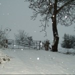 Photo of the Day - 1st February 2021 - Snow Snow Snow