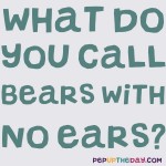Joke: What do you call bears with no ears?