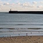 Photo of the Day - 7th February 2021 - Bay Watch