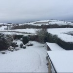 Photo of the Day - 9th February 2021 - Snowy scene in Gotherington