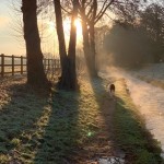 Photo of the Day - 11th February 2021 - Early Winter