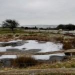 Photo of the Day - 21st February 2021 - Storm Darcy