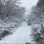 Photo of the day - 24th February 2021 - Winter