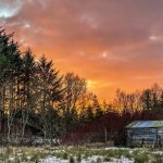 Photo of the day - 26th February 2021- The old henhouse