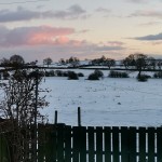 Photo of the day - 1st March 2021 - Winter's Day