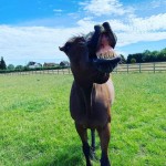 Pet of the Day - 2nd March 2021 - Cressie