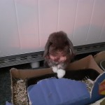 Pet of the Day - 3rd March 2021 - Louie