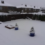 Photo of the day - 11th March 2021 - Snow in yorkshire, my back garden.