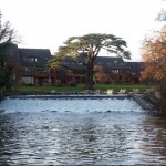Photo of the day - 12th March 2021 - Tree by water