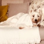 Pet of the Day - 18th March 2021 - All cozy