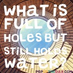Riddle: What is full of holes but still holds water?