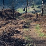 Photo of the day - 3rd April 2021 - Country Lane