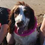Pet of the Day - 13th April 2021 - Barney